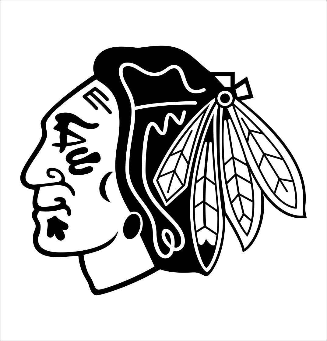 Chicago Blackhawks decal – North 49 Decals