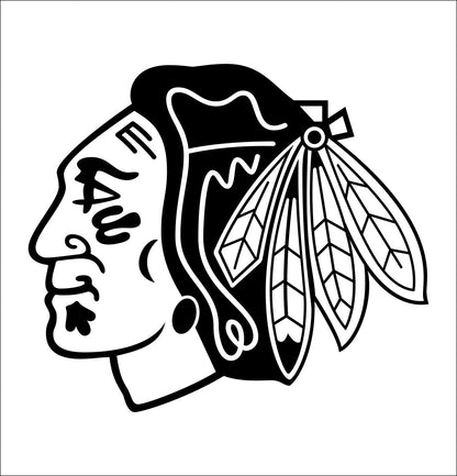 Chicago Blackhawks decal, sticker, nhl decal