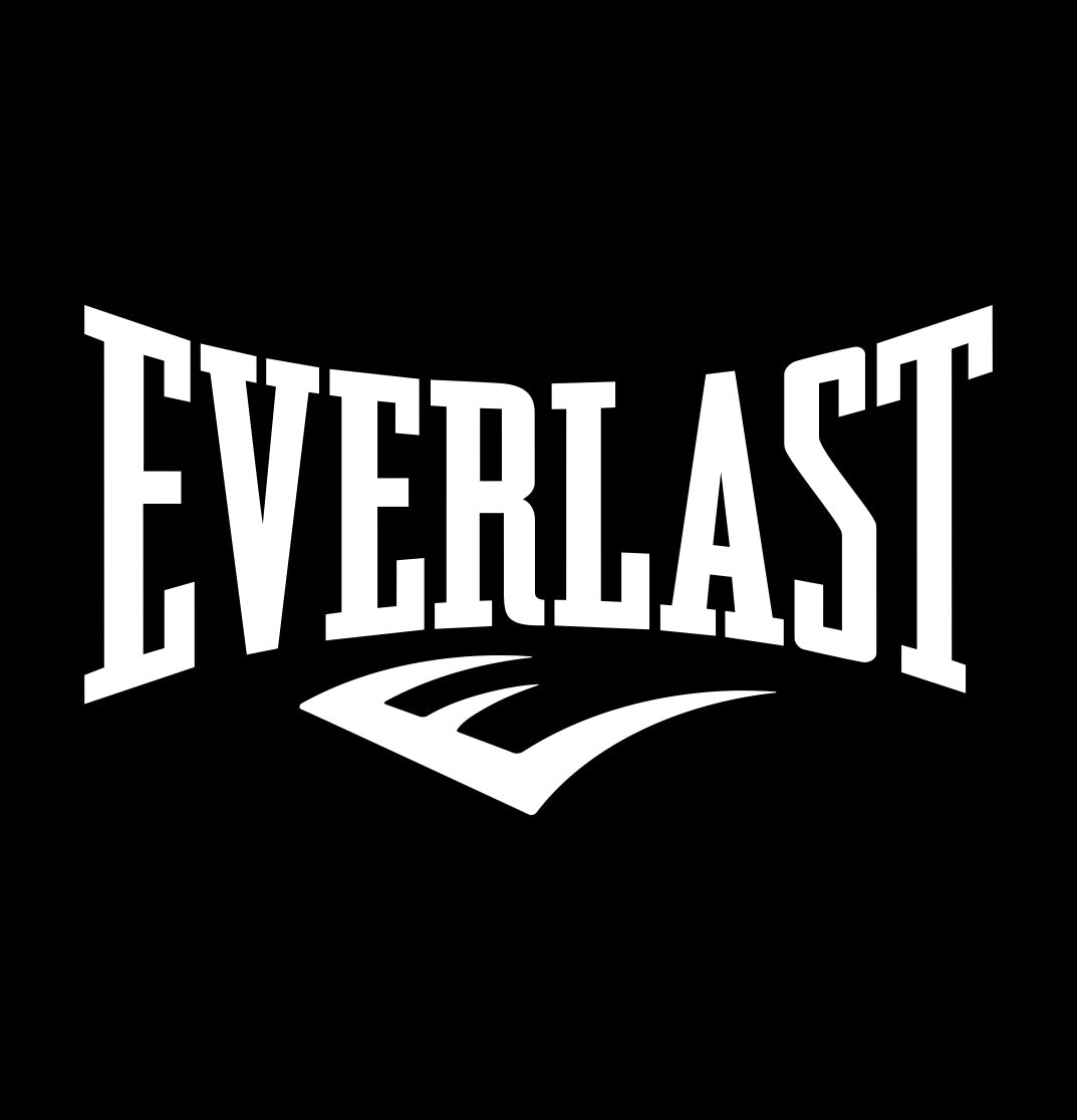 everlast decal, car decal sticker