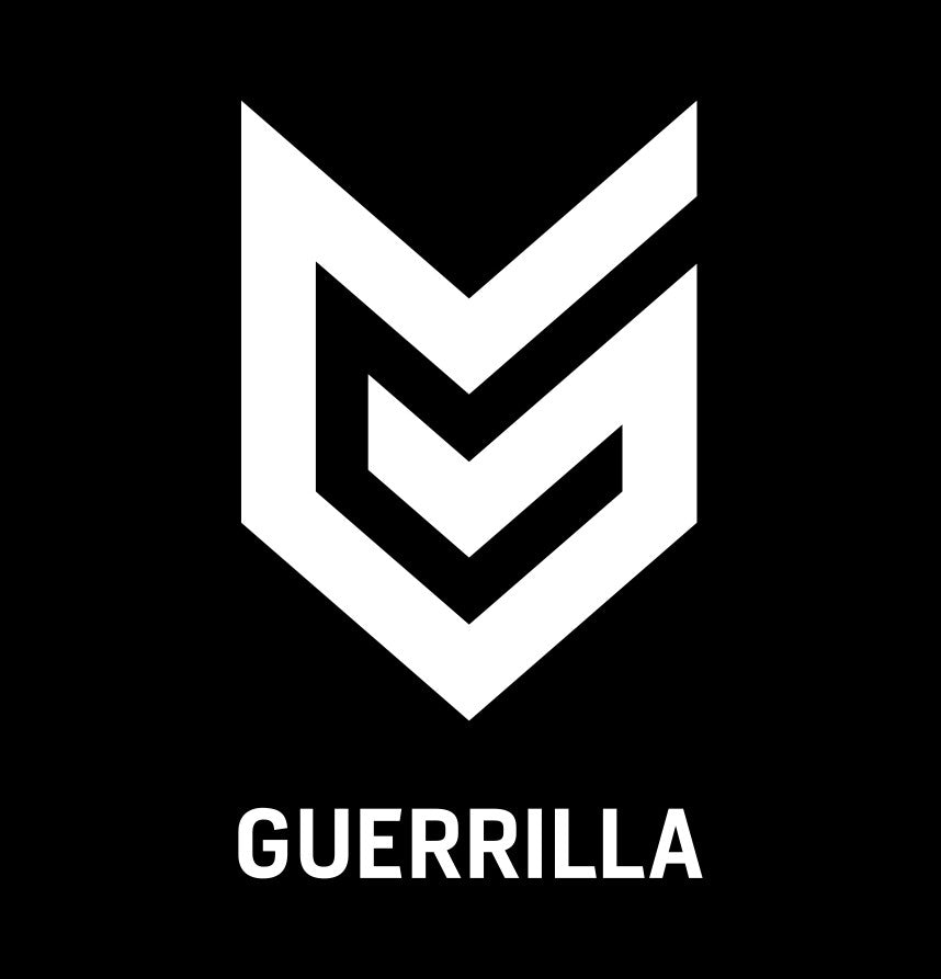 Guerilla Games decal, video game decal, sticker, car decal